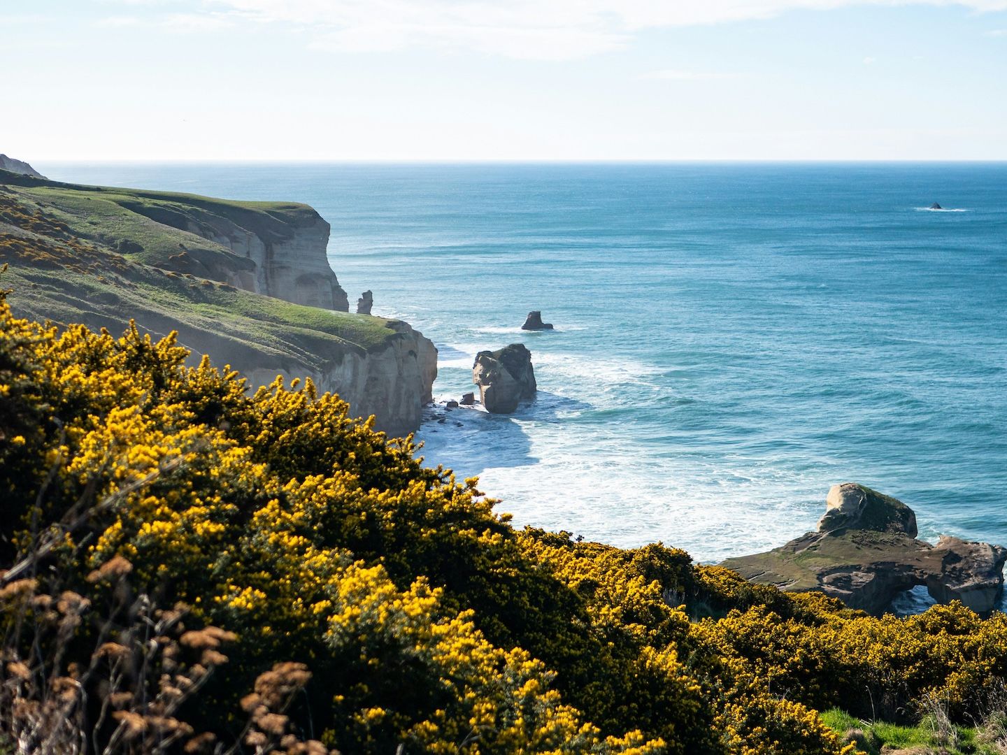 Dunedin cliffside